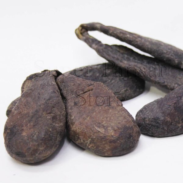castoreum (Jund Badastar) جند بدستر