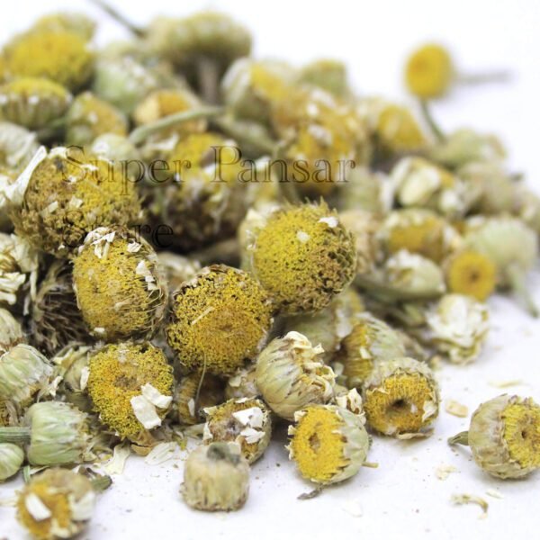 Chamomile (Gul Babona) گل بابونہ