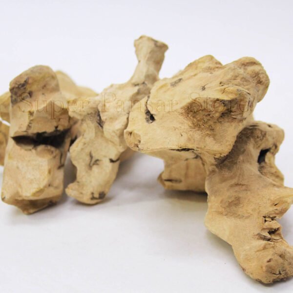 China Root (Smilax China/Chob Chini) چوب چینی