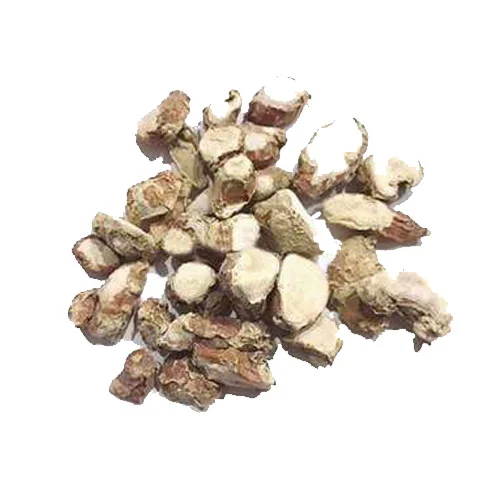 Ginger Lily (Hedychium Coronarium/Kapoor Kachri) کپور کچری