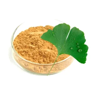 Ginkgo Biloba Extract