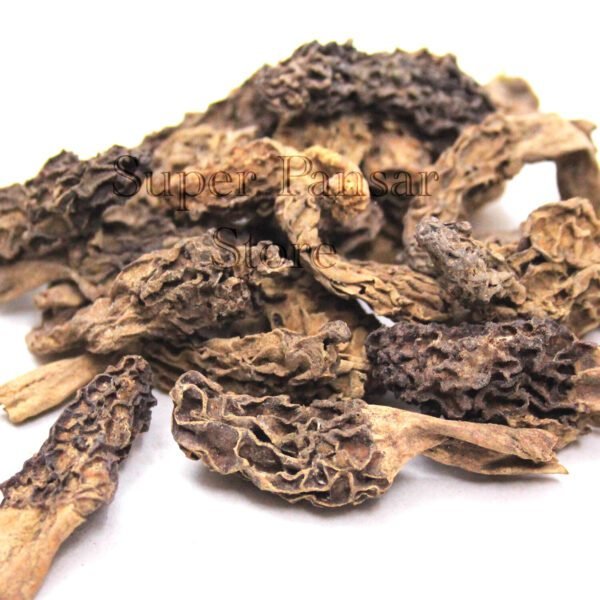 Morel Mushroom (Guchi Mushroom) گوچی مشروم