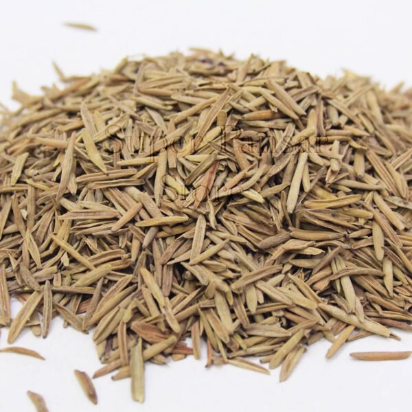 Tellicherry Bark (Bitter Oleander Holarrhena Pubescens/Indarjo Talkh) اندرجوں تلخ،کوڑے جوں