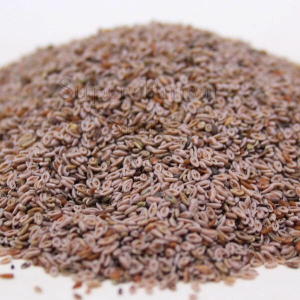 Psyllium Ispaghol  (Sabut Isabghol) ثابت اسپغول