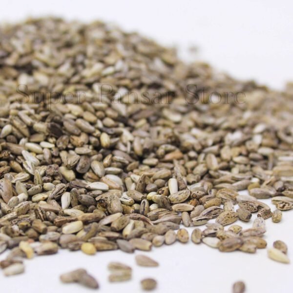 Milk Thistle Seed (Onth Khatara)  بیج اونٹ کٹارہ