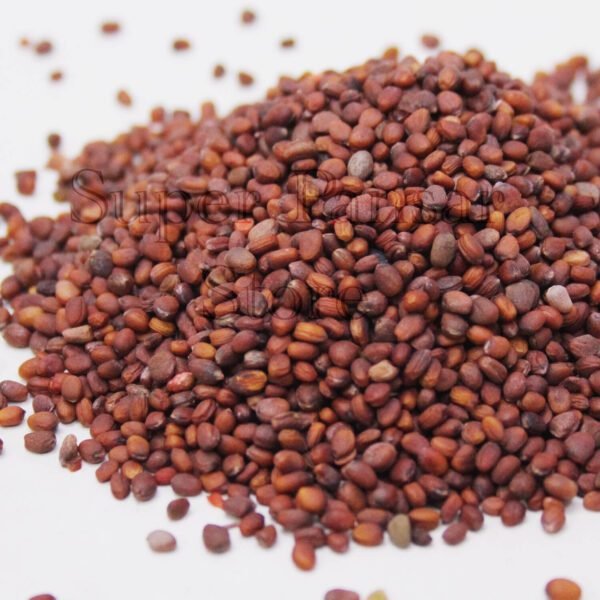 Radish Seeds (Tukhm e Moli) تخم مولی