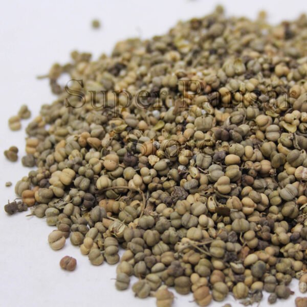 Rue seeds (Tukhm e Sudab) تخم  سداب