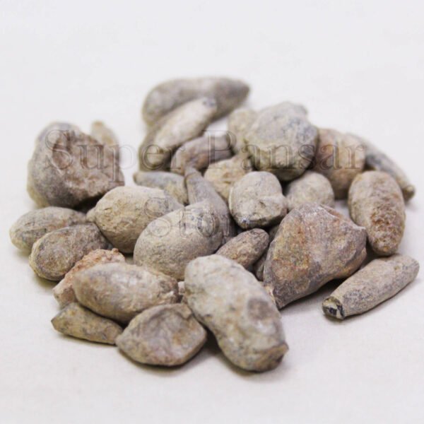Lapis Judaicus (Sang e Yahood) سنگ یہود